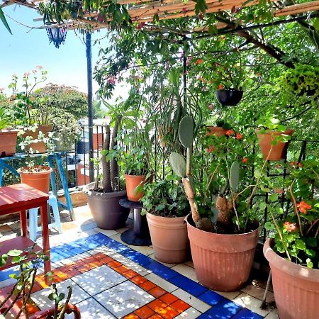 La Terraza Del Pochote Oaxaca Eksteriør billede