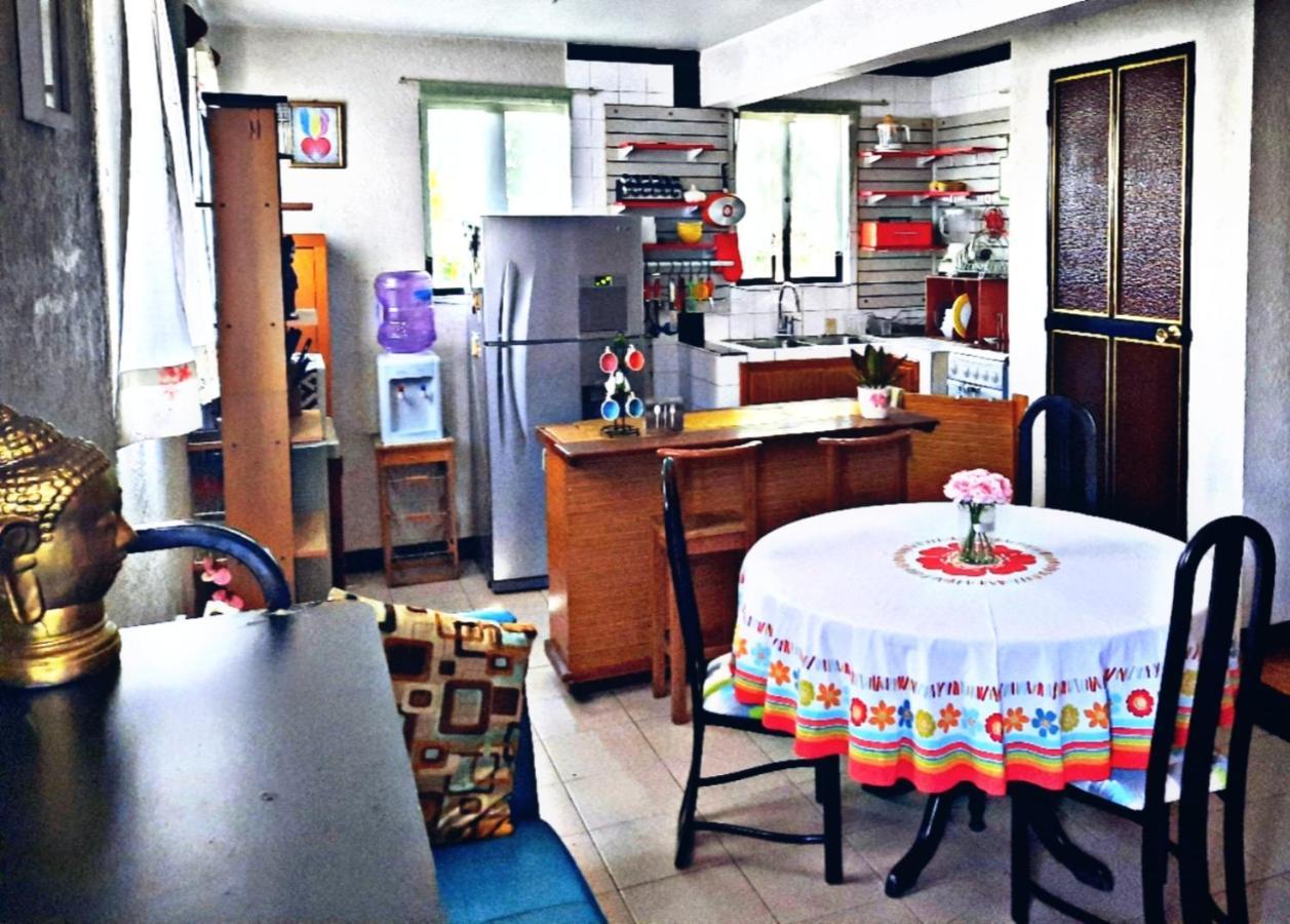 La Terraza Del Pochote Oaxaca Eksteriør billede